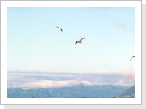 Terrassenaussicht Terrassenaussicht