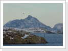Blick in Richtung Hestmona Blick in Richtung Hestmona
