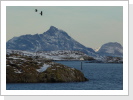 Blick in Richtung Hestmona Blick in Richtung Hestmona